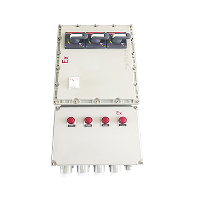 BXD51防爆動(dòng)力配電箱 BXD51防爆動(dòng)力配電箱